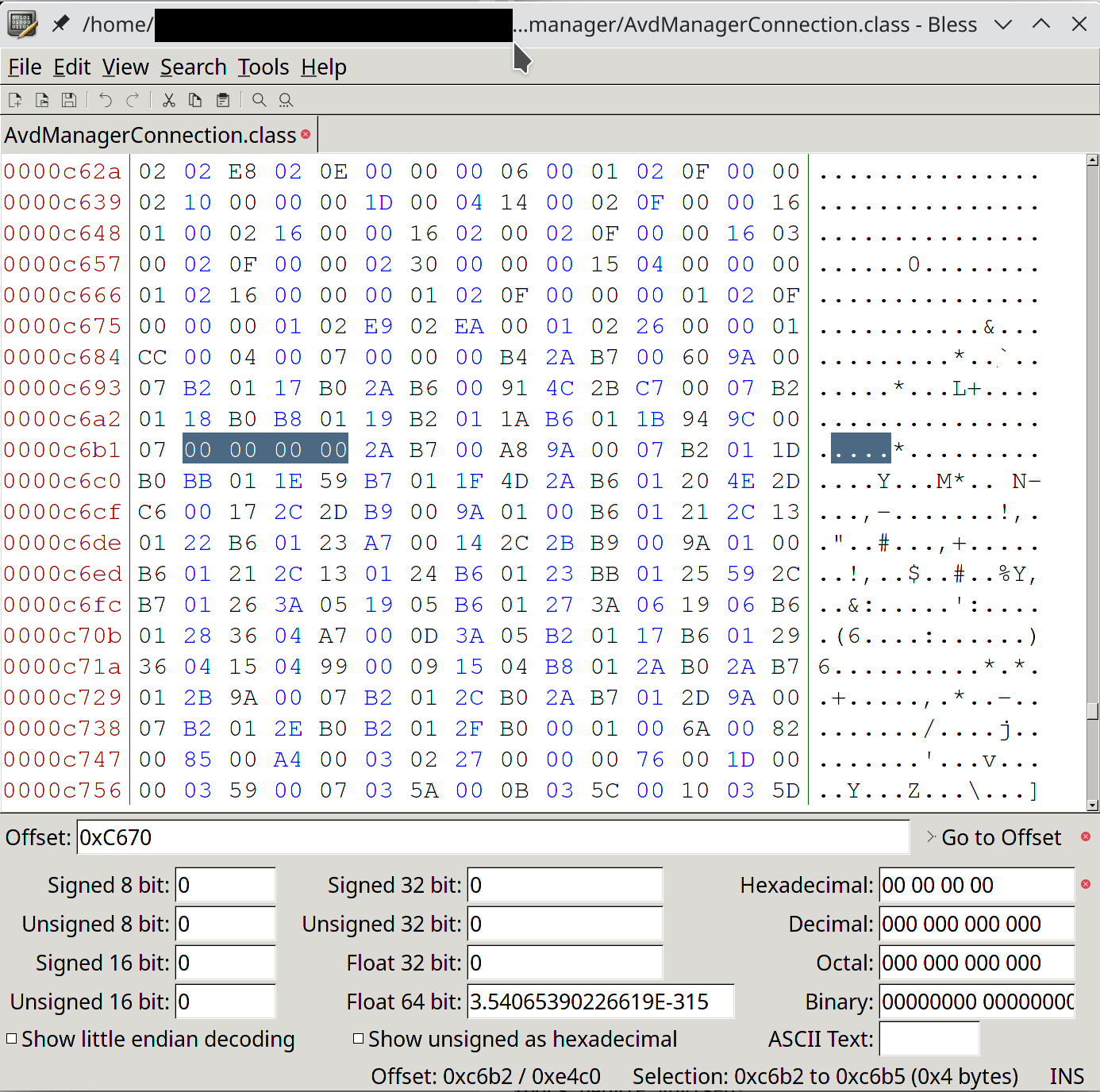 Inserting our NOP instructions with Bless